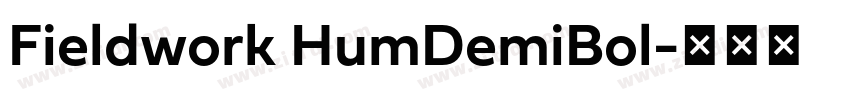 Fieldwork HumDemiBol字体转换